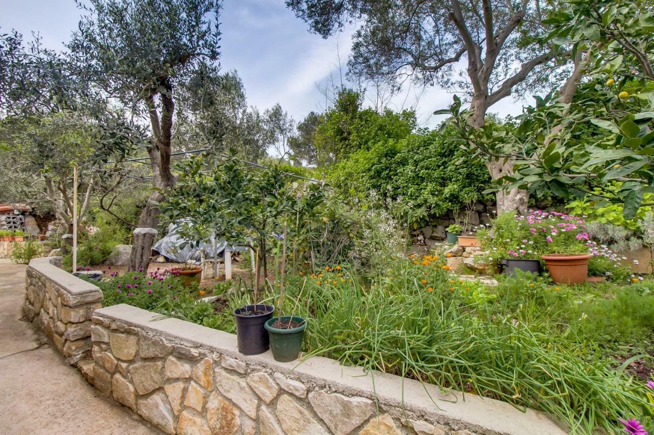 מאלי לוסיניי Apartments Mirella מראה חיצוני תמונה
